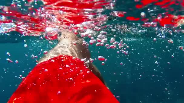 Natation sous-marine dans la mer en maillot de bain rouge au ralenti
 - Séquence, vidéo