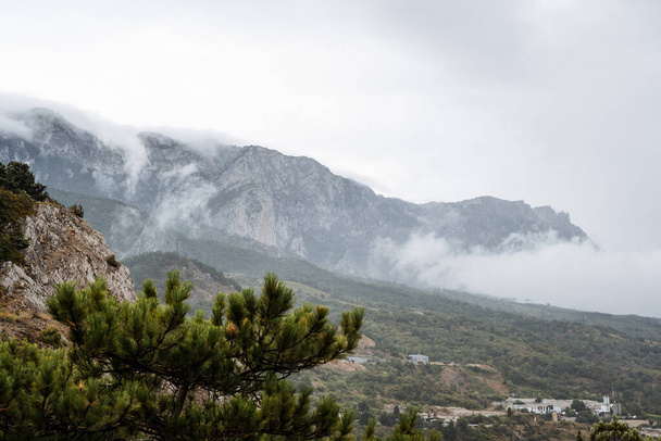 Атмосферний гірський пейзаж. Гори вкриті туманом, який спускається в долину. На передньому плані знаходиться вершина дерева
 - Фото, зображення