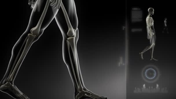 Walking man with knee scan interface - Footage, Video