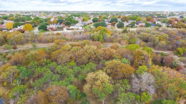 Краєвид на ліси житловий район і красиві осінні листяні ліси біля передмість Даллас, штат Техас. Паркова сторона зеленого поділу окремі сімейні будинки з дозріванням в горизонтальну лінію - Фото, зображення