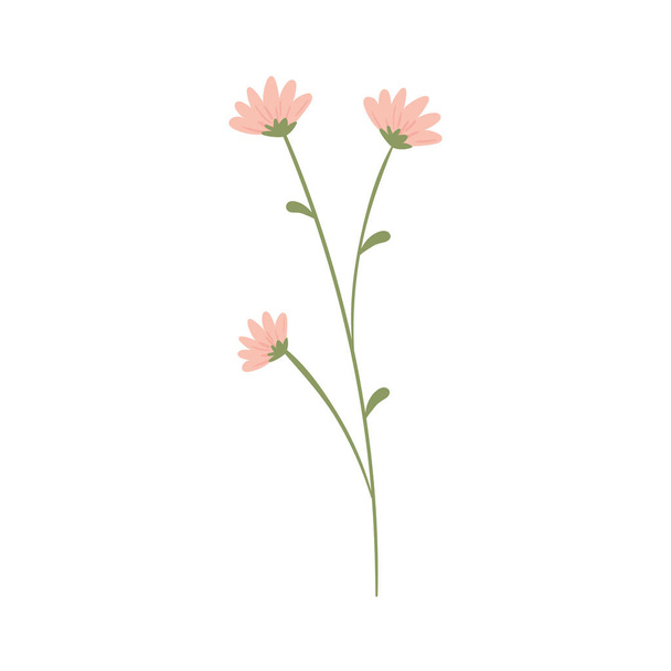 różowe kwiaty łodygi - Wektor, obraz
