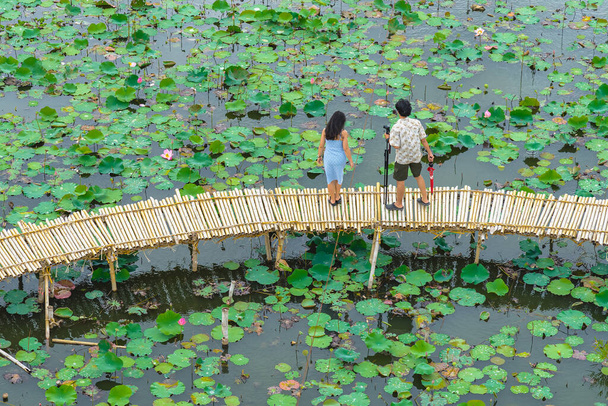 Top widok azjatyckich turystów cieszyć robienie zdjęć na bambusowym moście nad rzeką z wielu lotosów. Szczęśliwa para spędzająca razem czas na zewnątrz, w wodnej naturze. Widok z widokiem na ludzi ze stawem lotosowym. - Zdjęcie, obraz