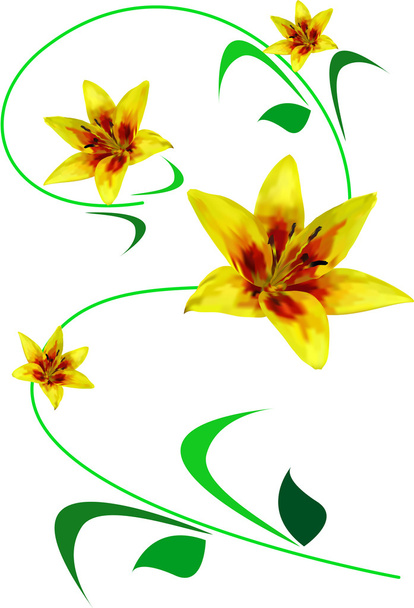Květy - Vektor, obrázek