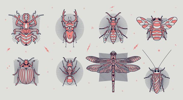 Abstract insects illustration - Vektör, Görsel