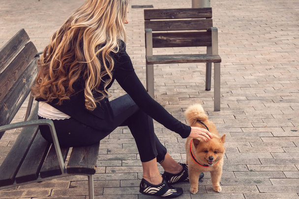 Girl walking with a dog in the city. Playful and lively Pomeranian dog.  Faithful, friendly friend. Friendship concept. Dog concept.  - Foto, immagini
