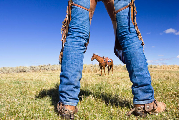 vue à travers les jambes de cow-boy sur cheval, wildwest, Oregon, USA - Photo, image