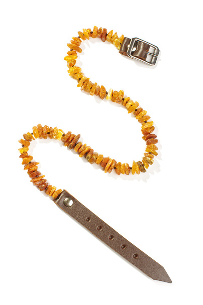 Baltic amber dog and cat necklace isolated on the white - Photo, Image
