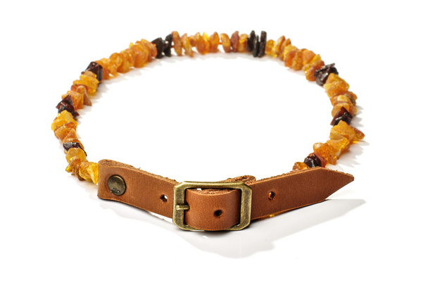 vlo en tik van amber kraag voor huisdieren - Foto, afbeelding