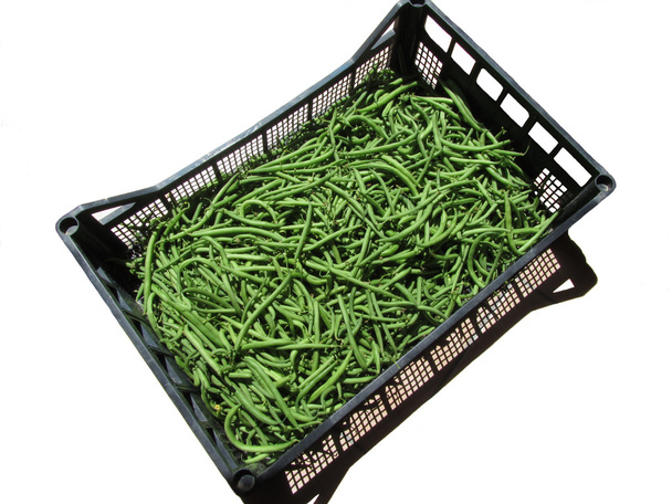 Green beans in box on white background - Photo, Image