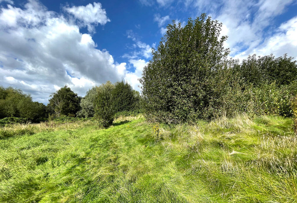 Użytki zielone z drzewami i krzewami, z rozbitą chmurą w pobliżu, Shipley, Bradford, UK - Zdjęcie, obraz