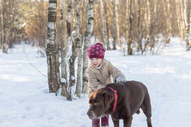Małe dziecko bawiące się razem z psem Labrador Retriever w zimowym parku. dziewczyna dziecko bawi się z czekolady labrador.active rekreacji i spacery w przyrodzie - Zdjęcie, obraz