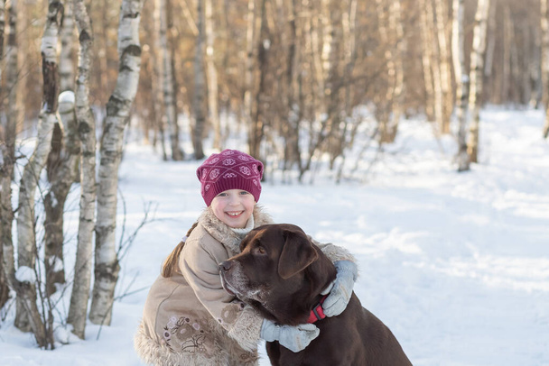 Little child playing with Labrador retriever dog together in winter park.Dog chewing on a ball. girl child playing with chocolate labrador.active recreation and walking in nature - Fotografie, Obrázek