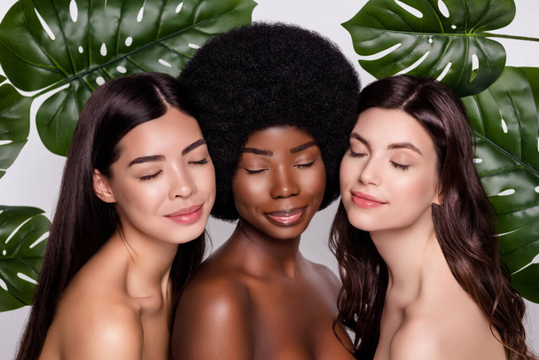 Профиль боковой фотографии трех молодых привлекательных женщин наслаждаться процедурой красоты лист изолирован на сером фоне цвета - Фото, изображение