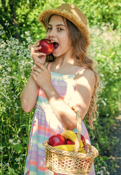 Strong teeth for good eat. Little kid bite apple in garden. Dental health. Oral hygiene. Dental fillings. Teeth decay prevention. Pediatric dentistry. Vitamin natural nutrition - Foto, afbeelding