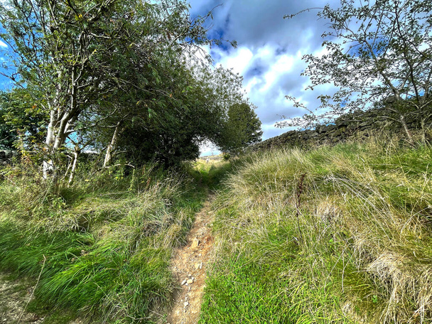 Стежка, хоча сільська місцевість над селом Лімінг, Кейтлі, Велика Британія - Фото, зображення