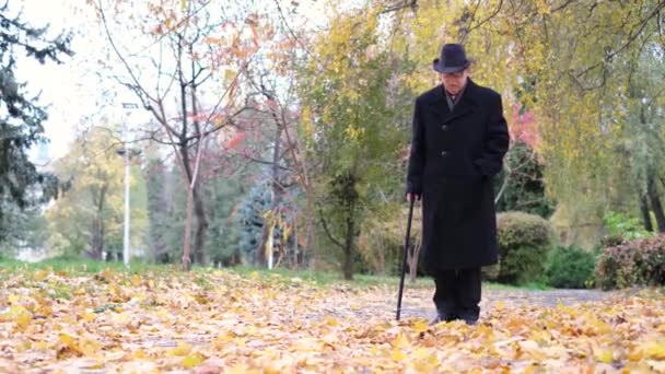 Ένας ηλικιωμένος παππούς με ένα μαύρο παλτό με ένα ραβδί βόλτες στο πάρκο φθινόπωρο. - Πλάνα, βίντεο