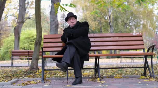 Een eenzame oude man zit op een bankje in het park.. - Video