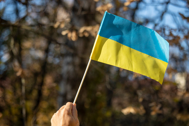 Little yellow and blue flag of Ukraine in hands - Foto, imagen