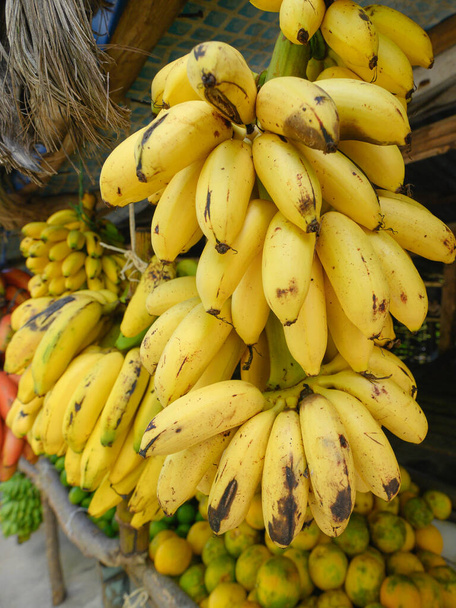 Roadside fruit market. Some tropical fruits wild orange, limes, bananas. Different fruits on tree. Exotic fruits are outdoor. Photo show variety types of bananas: yellow, red, green colors. - Foto, Imagem