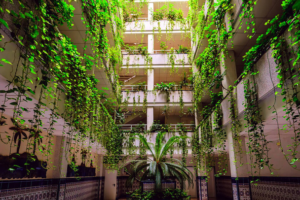 Зеленое здание с растениями, растущими на фасаде дома, экология и зеленая жизнь города - Фото, изображение