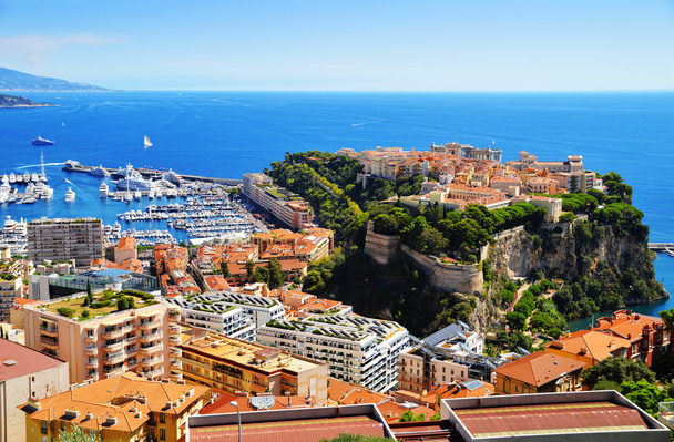видом на гавань і принц палац Монако - Фото, зображення