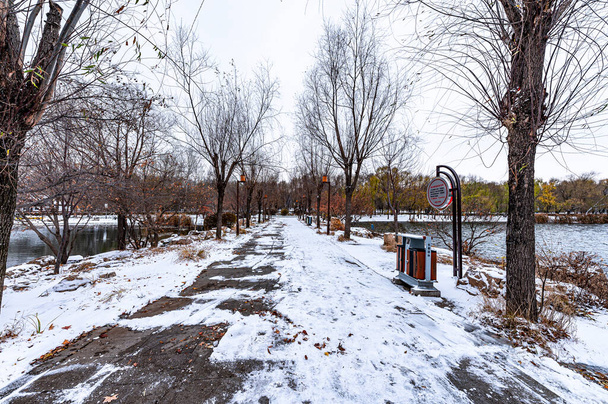 Перший сніг на початку зими - зима в парку Наньху (Чанчунь, Китай). - Фото, зображення