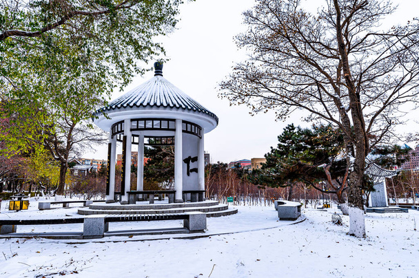 Eerste sneeuw in de vroege winter - Winter landschap van Deyuan Themapark, Changchun, China - Foto, afbeelding