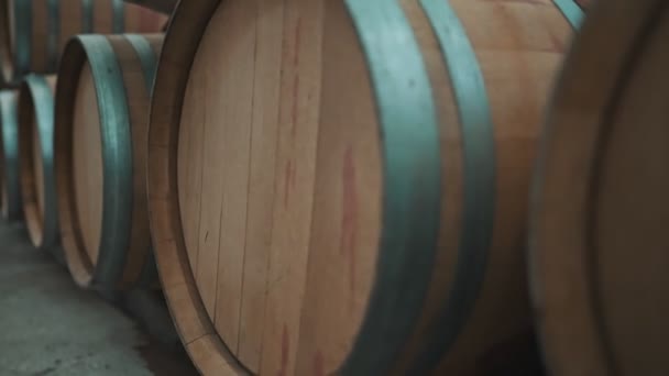 Wine barrels stacked in the cellar. - Footage, Video