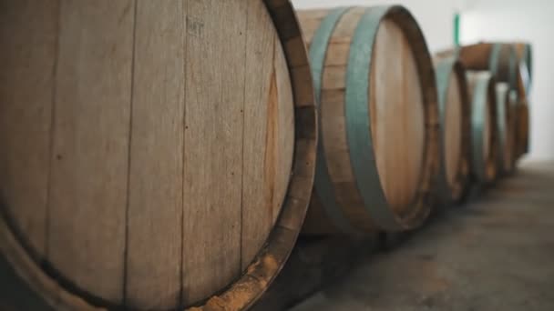 Wine barrels stacked in the cellar. - Footage, Video