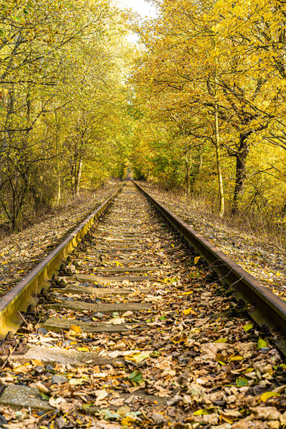 Spoorweg in perspectief tussen vergeelde bomen met vallende bladeren op een zonnige herfstdag. - Foto, afbeelding