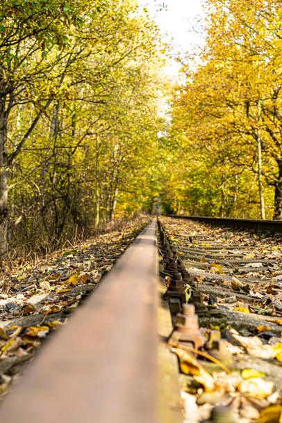 Железная дорога в перспективе между пожелтевшими деревьями с опавшими листьями в солнечный осенний день. - Фото, изображение