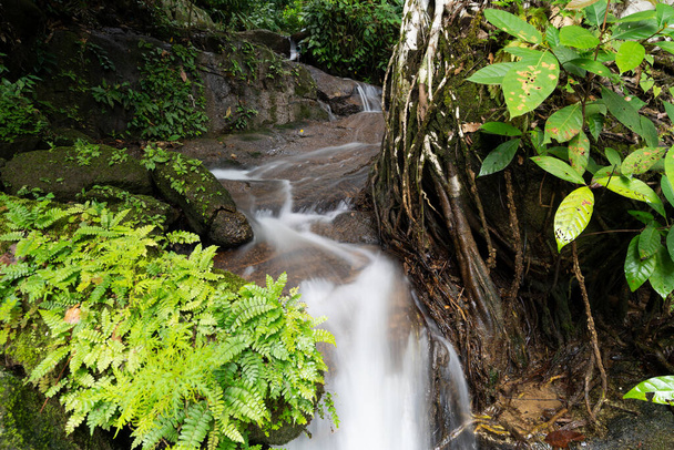 Hermosa cascada pequeña en la selva Árboles abundantes Larga exposición velocidad movimiento desenfoque agua - Foto, Imagen