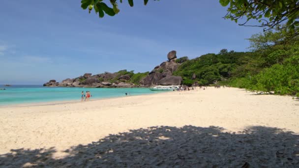 Gyönyörű trópusi homokos strand természet Kilátás óceán tenger Similan-szigetek No.8 November 15, 2021 Similan-szigetek Gyönyörű sziget Phang Nga, Thaiföld Természet és utazási koncepció - Felvétel, videó