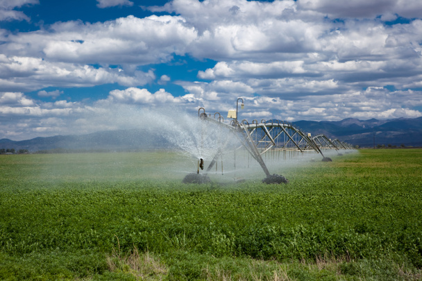 Center pivot agricultural irrigation system - Photo, Image