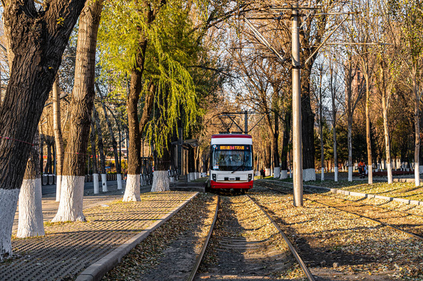 Fallen opouští krajinu tramvaje na Chuncheng Street, Changchun, Čína - Fotografie, Obrázek