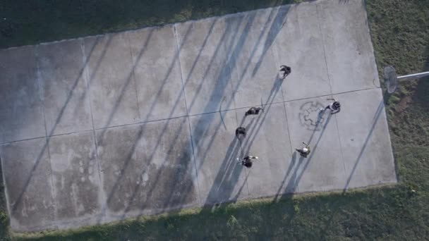 Vista aérea de las personas vistas jugando baloncesto en la cancha al aire libre - Imágenes, Vídeo