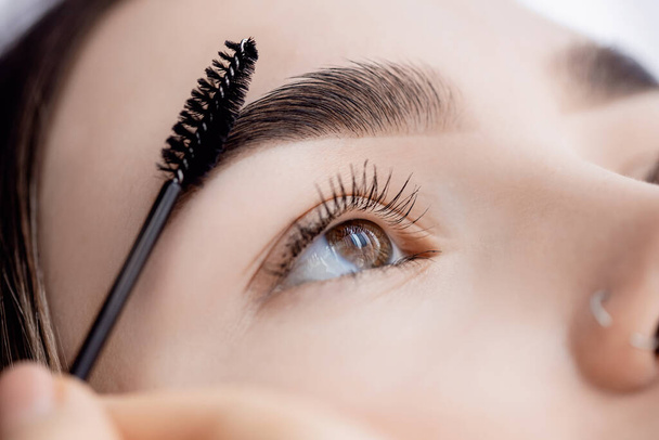 Master with comb of eyebrow hair in women, διόρθωση φρυδιών στο σαλόνι ομορφιάς - Φωτογραφία, εικόνα