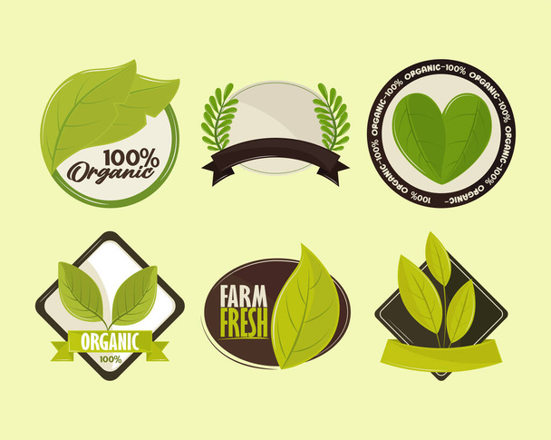 labels for organic products - Vector, Imagen