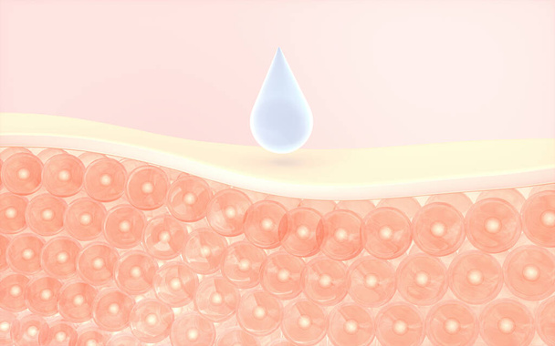 Las células de la piel absorben el suero, renderizado 3d. Dibujo digital informático. - Foto, Imagen