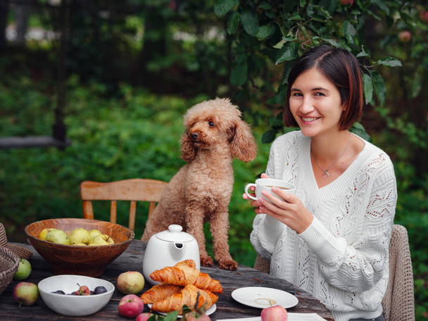 mulher tomando café da manhã no jardim com seu fiel poodle animal de estimação. - Foto, Imagem