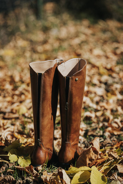 A vertical shot of brown fashionable boots on autumnal leaves fallen on the ground - Фото, изображение