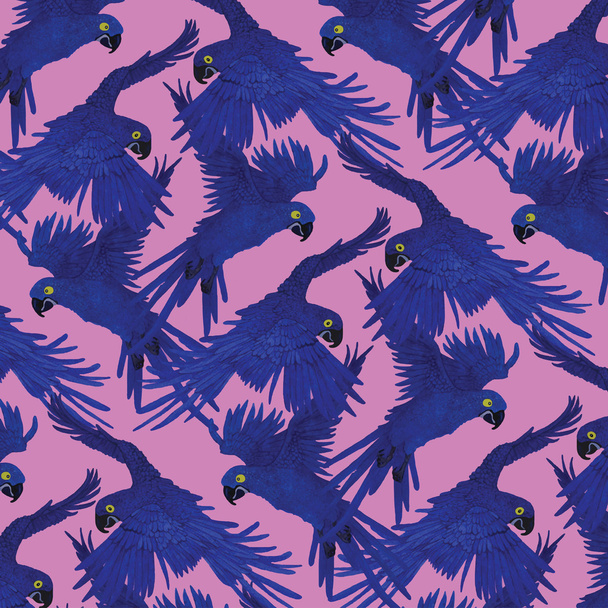 Pattern with macaw parrots. Hand drawn vector. - ベクター画像