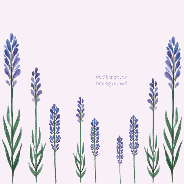 Lavender watercolor. - Vector, Image