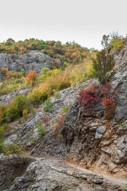 Amazing vivid colors of the autumn trees on a rocky cliff in a canyon of Gradasnicka river, Pirot, Serbia. - Foto, Imagen