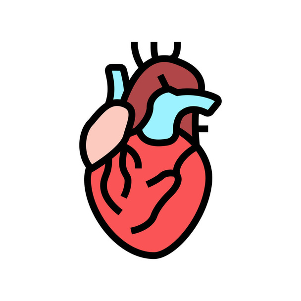 coração humano órgão cor ícone vetor ilustração - Vetor, Imagem