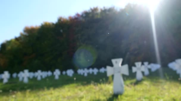 Кладовище з білими хрестами на сонячний день
. - Кадри, відео