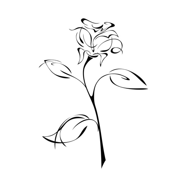 stylized rose with leaves in black lines on white background - Vetor, Imagem