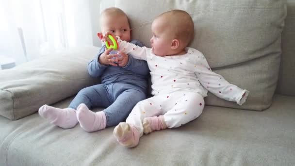 Bébé jumeaux assis sur un canapé et essayer de prendre un jouet - Séquence, vidéo