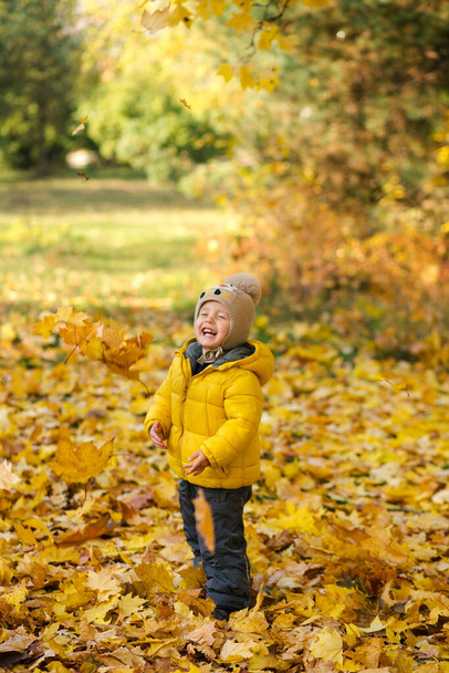 Cute toddler standing in autumn park in yellow jacket - Fotó, kép