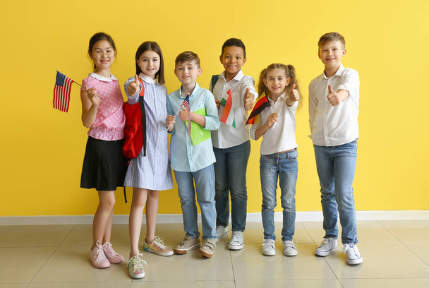 Ученики языковой школы с различными флагами, показывающими большой палец вверх на цветном фоне - Фото, изображение